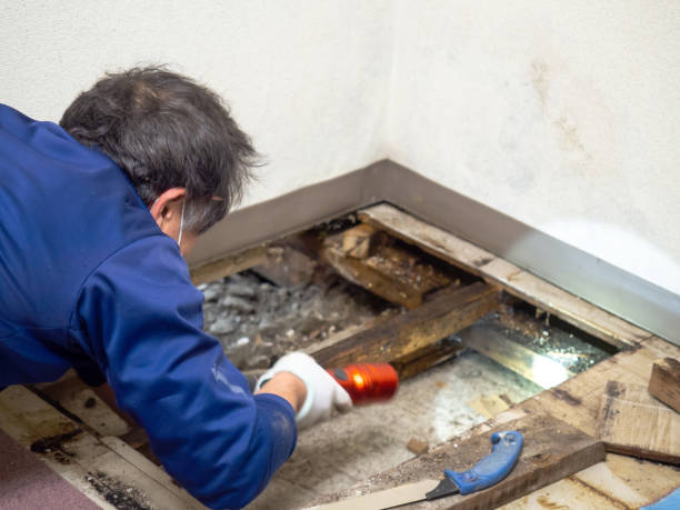 Best Mold Testing  in West Rson, CA