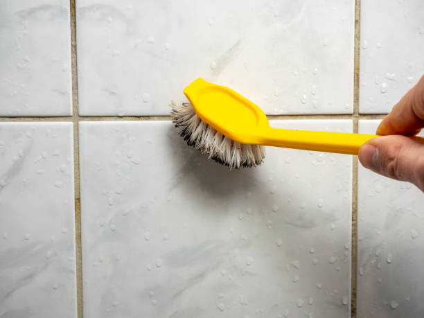 Best Mold Removal Company Near Me  in West Rson, CA