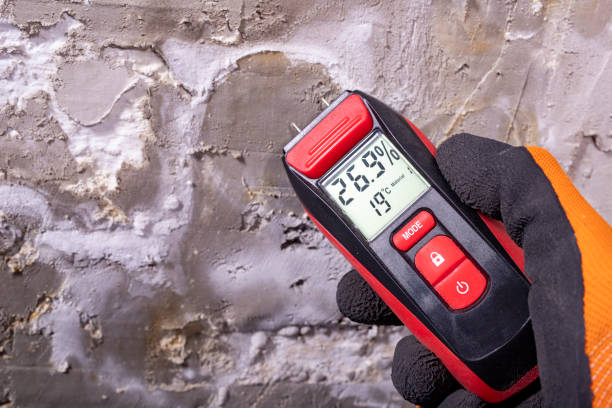 Best Mold Removal Near Me  in West Rson, CA