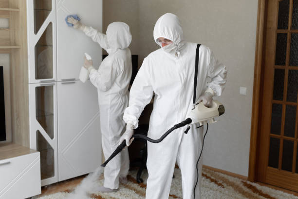 Best Local Mold Removal Service  in West Rson, CA