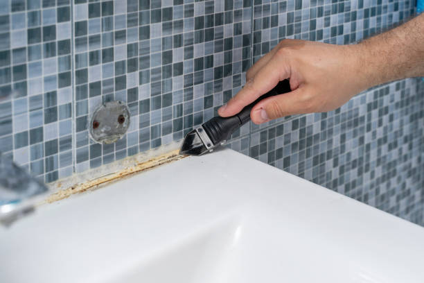 Best Professional Mold Removal  in West Rson, CA