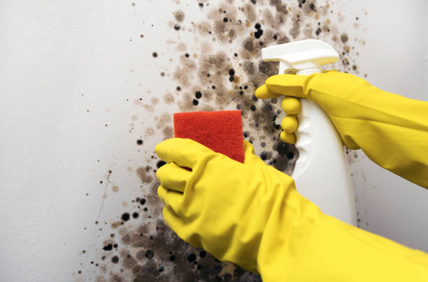 Water Damage Restoration in West Carson, CA